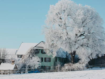 Bild 21 aus  Reit-, Pensions- und Ferienhof Zehendner