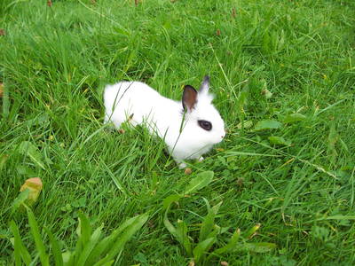 Bild 15 aus  "Salenberghof"