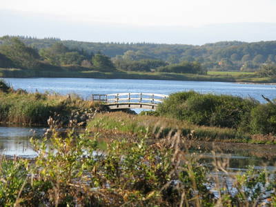 Bild 11 aus  Ziegeleivilla