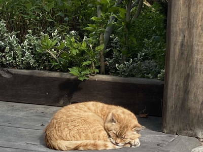 Bild 65 aus  LandSelection Rüsterhof