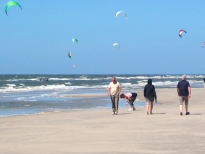Bild 40 aus  Ferienhof Peter -  Ponys - streicheln, striegeln, füttern  -  Wattwanderungen + ganz viel Nordsee