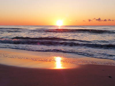 Bild 36 aus  LandSelection Gut Gaarz