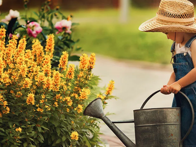 Bild 4 aus  Knödler Stadel