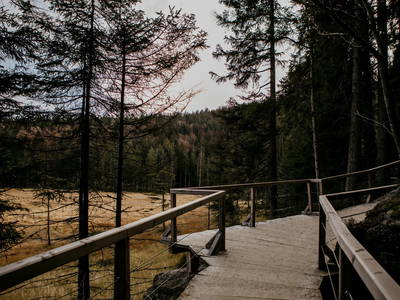 Bild 26 aus  Arber Lofts