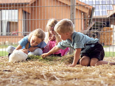 Bild 20 aus  Ponyferienhof