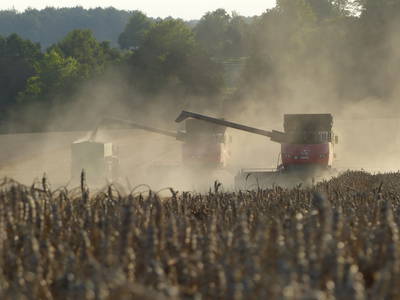 Die Ernte einholen