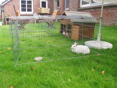 Bild 13 aus  Ferienhof Hohenhenne