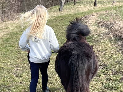 Bild 18 aus  Landkulturhof Glücksbringer