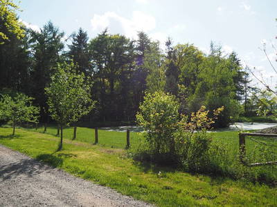 Bild 22 aus  Ferienhof Tödter