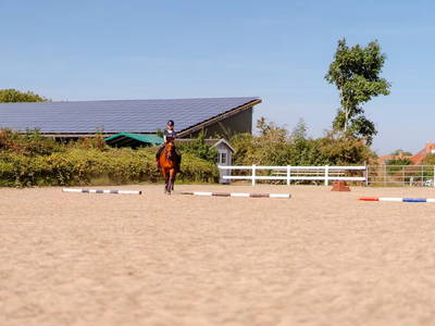Bild 14 aus LandSelection - Ferienhof Paulsen