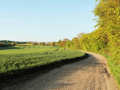 Bild 9 aus  Ferienhof  Schwien