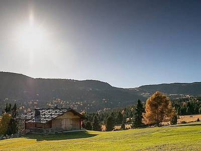 Bild 14 aus  Residence Alpenrose