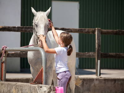 Bild 4 aus  Ferienwohnungen Seehof am Waginger See