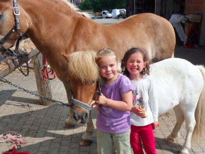 Bild 2 aus  Rhöner Haflingerhof