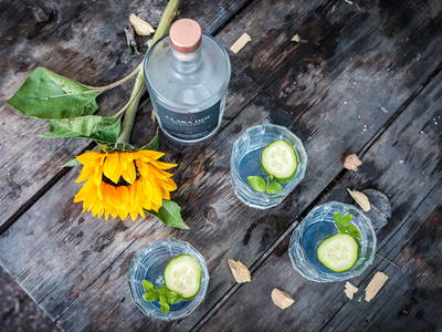 Bild 14 aus  Kunterbunthof – Landurlaub am Künstlerhof in Ostseenähe