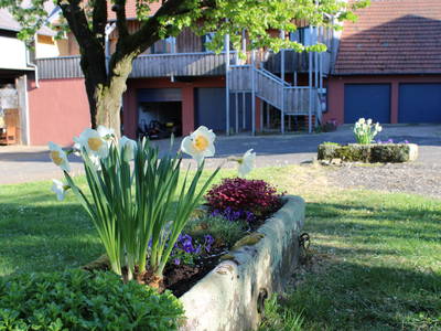 Bild 18 aus  Bauernhofurlaub auf Larbigs Art