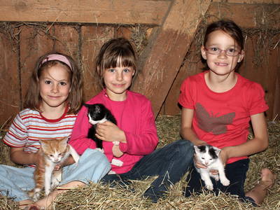 Bild 18 aus  Schlosshof - der Urlaubsbauernhof