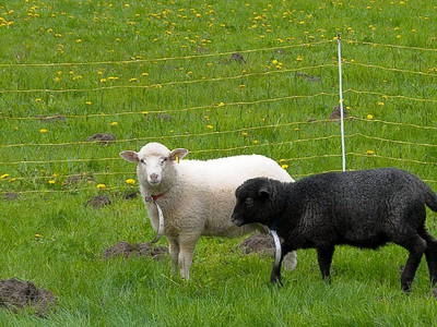 Bild 20 aus  Alte Scheune Krakvitz, Inh. Gisela Stolpe&Peter Hübner