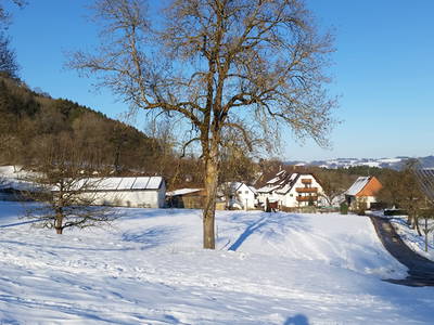 Bild 34 aus  Ferienhof Burghöfe