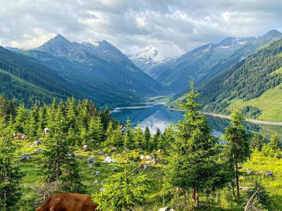 Bild 8 aus  Schmezlhof Ferienhaus