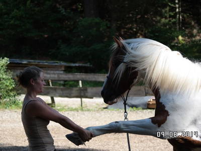 Bild 7 aus  Schmidbauernhof