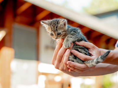 Bild 43 aus  LandSelection Grieshof