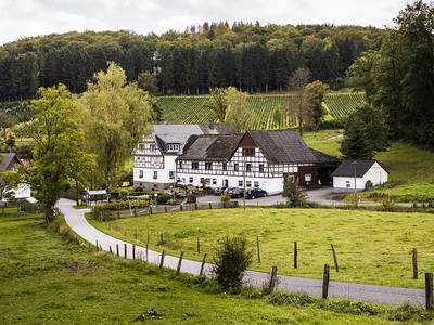 Bild 16 aus  Ferienhof Schade