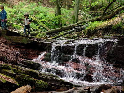 Bild 10 aus  Der Wassermannshof