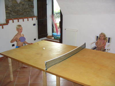 Bild 11 aus  Casarina