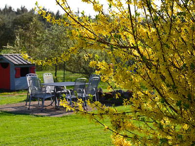 Bild 37 aus  Ferienhof Buchberger