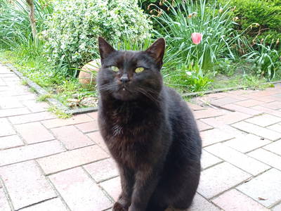 Bild 20 aus  Ferienhof Nordorfer Grashaus