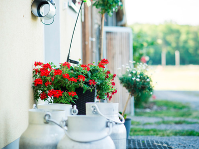 Bild 16 aus  Bauernhof Härtel