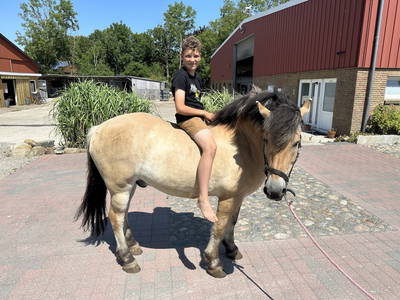 Bild 13 aus  Bauernhof Claussen Fehmarn