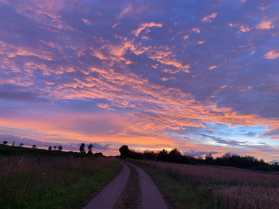 Bild 31 aus  Gästehaus im Lochautal
