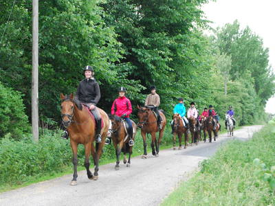 Bild 38 aus  Lindenhof