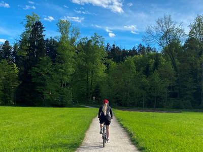 Bild 20 aus  Fürstnerhof-Reiterhof