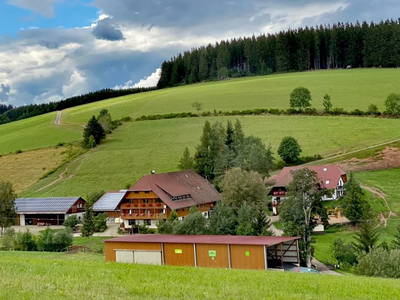 Bild 3 aus  Schweizermichelhof