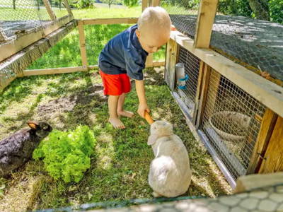 Bild 34 aus  Köllhof