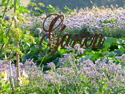 Bild 17 aus  Gut Waldhof