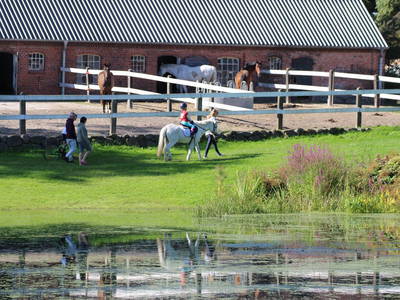 Bild 21 aus  Gut Friederikenhof