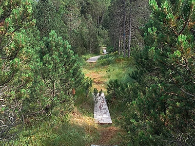 Bild 24 aus  Reicharthof