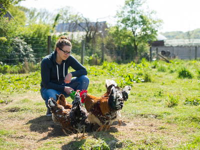 Bild 9 aus  Sandsteinhof Kückmann