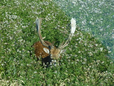 Bild 26 aus  Gut Hohenhain