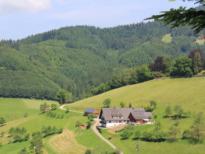 Bild 68 aus  Ferienhaus - Ferienwohnungen Müllerbauernhof im Schwarzwald.