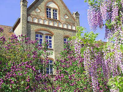 Bild 7 aus  Kunstgut Krahne