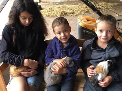 Bild 28 aus  Marienhof