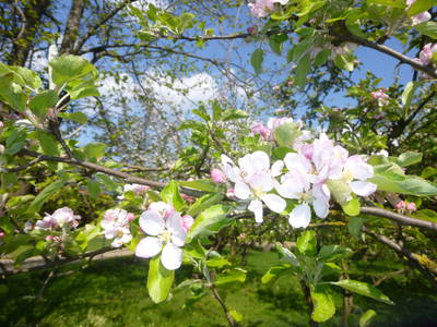 Bild 3 aus  Baierhof