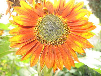 Bild 11 aus  Bio Ferienhof Teufelsberg GbR