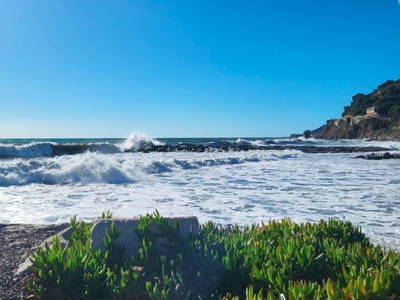 Bild 18 aus  Oliva Azzurra Appartamento