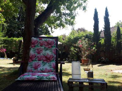 Gästegarten mit Liegewiese